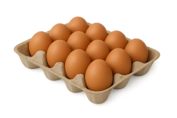 Boîte de 12 œufs